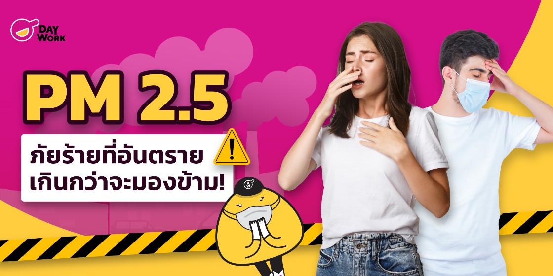 PM 2.5 ภัยร้ายที่อันตรายเกินกว่าจะมองข้าม!