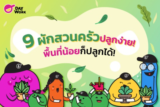 9 ผักสวนครัว ปลูกง่าย พื้นที่น้อยก็ปลูกได้