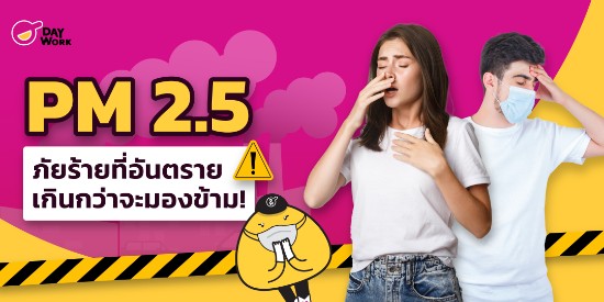 PM 2.5 ภัยร้ายที่อันตรายเกินกว่าจะมองข้าม!