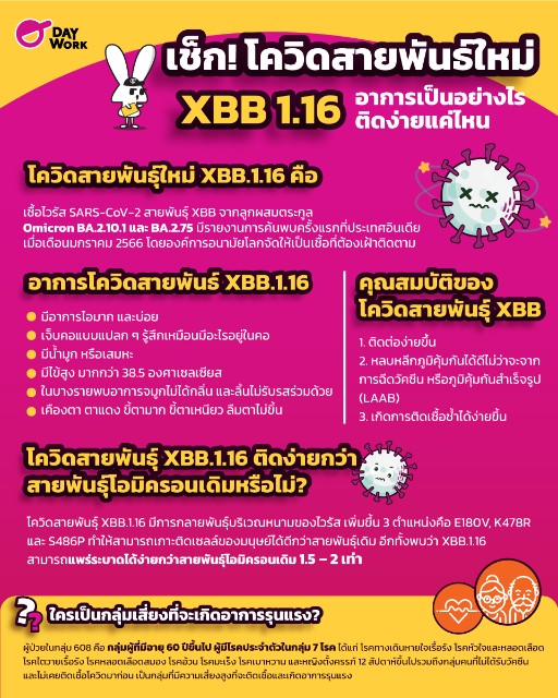 เช็ก โควิดสายพันธ์ใหม่ XBB 1.16
