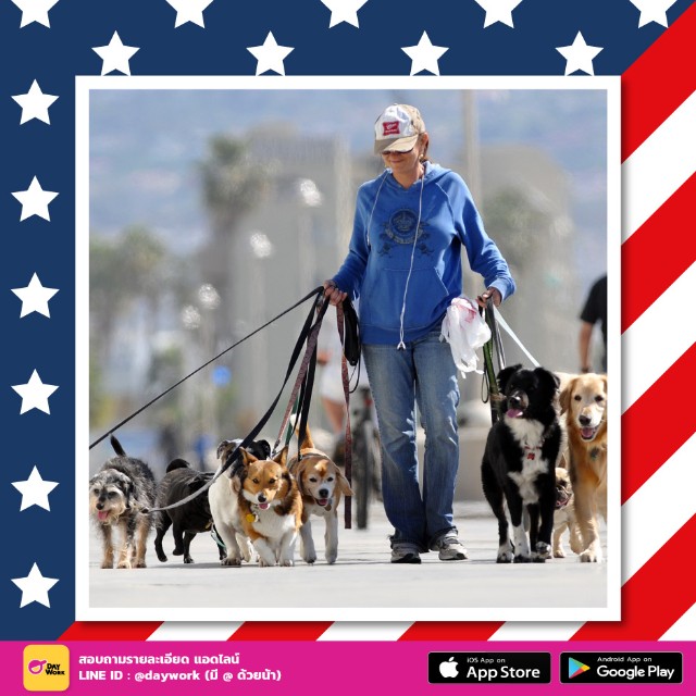 America-Part-time-Dog-Walker