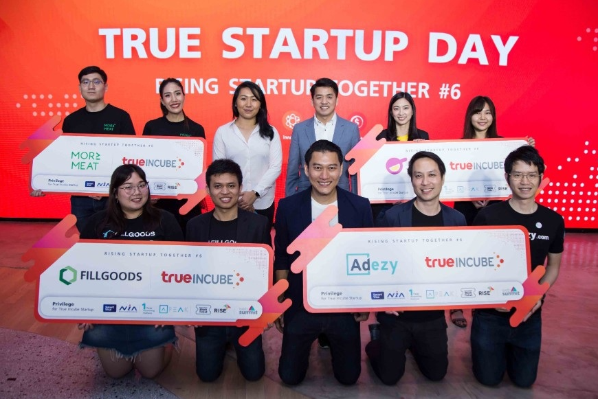True Incube Batch 6