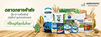 รูปภาพงาน 1