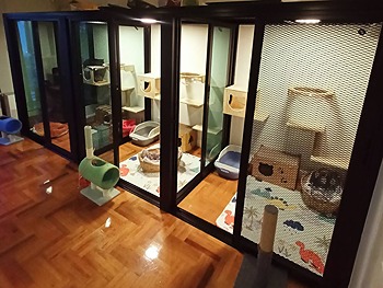 รูปภาพงาน 1