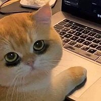 รูปภาพงาน 1