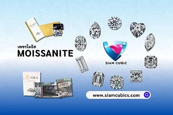 รูปภาพงาน 1