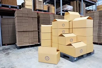 รูปภาพงาน 3