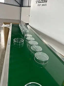 รูปภาพงาน 2