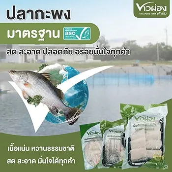 รูปภาพงาน 1