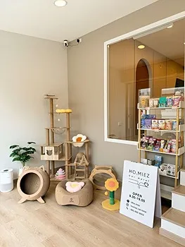 รูปภาพงาน 2