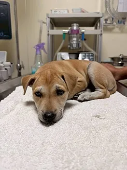 รูปภาพงาน 1