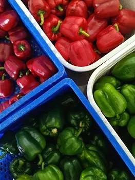 รูปภาพงาน 1