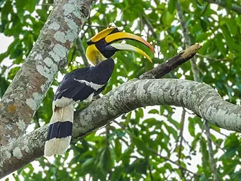 รูปภาพงาน 1