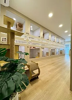 รูปภาพงาน 5