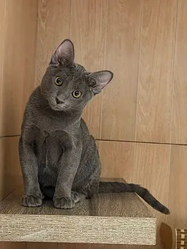 รูปภาพงาน 2