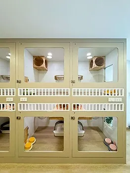 รูปภาพงาน 3