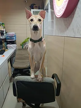 รูปภาพงาน 1