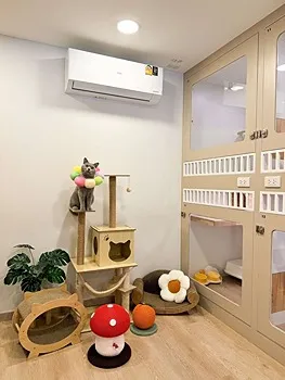 รูปภาพงาน 4