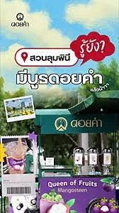 รูปภาพงาน 1