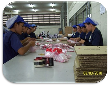 รูปภาพงาน 2