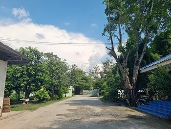 รูปภาพงาน 2
