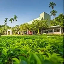 daywork-รูปภาพบริษัท-บริษัท ต้นกล้า เชียงใหม่ จำกัด