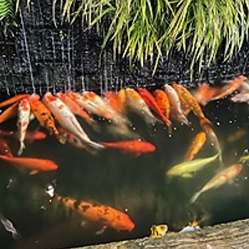 daywork-รูปภาพบริษัท-คณะบุคคลสำนงานชำนิธุระการ การบัญชี ภาษีอากรและทนายความ