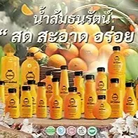 daywork-รูปบริษัท-ธนรัตน์รุ่งเรืองน้ำทิพย์