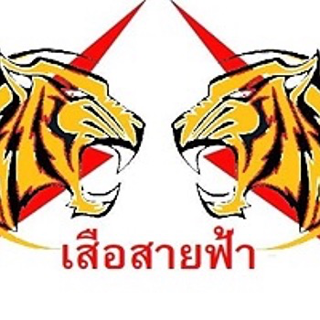 daywork-รูปภาพบริษัท-บริษัท ไทเกอร์ ธันเดอร์ จำกัด 