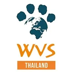 daywork-รูปภาพบริษัท-WVS Thailand
