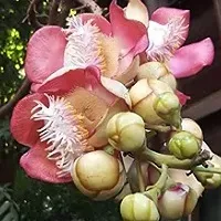 daywork-รูปภาพบริษัท-บริษัท ยันตรศิริ จำกัด