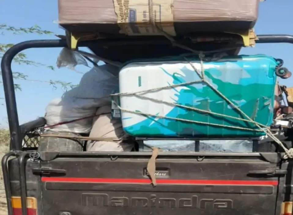 बकरियां चराने जा रही महिला को तेज रफ्तार बोलेरो कैंपर ने मारी टक्कर, मौके पर ही दर्दनाक मौत, 2 मवेशी भी कुचले