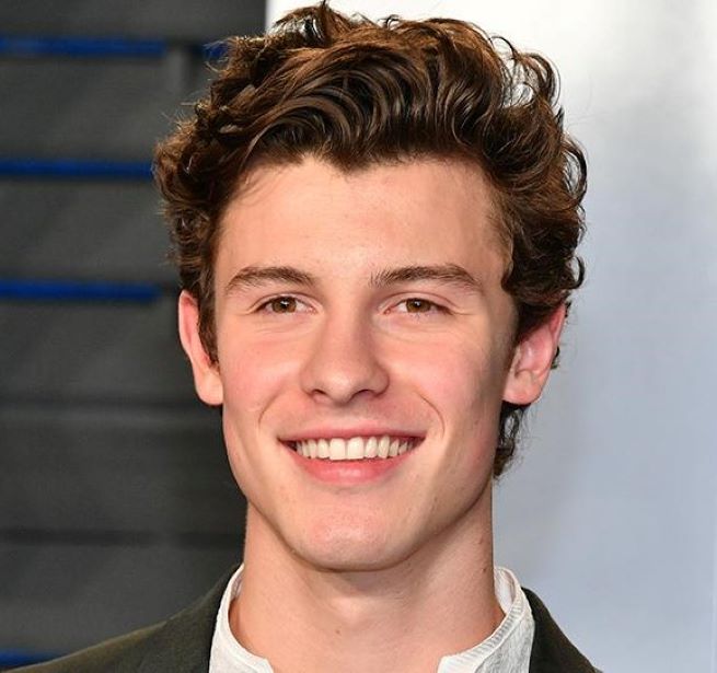 Sean Mendes photo
