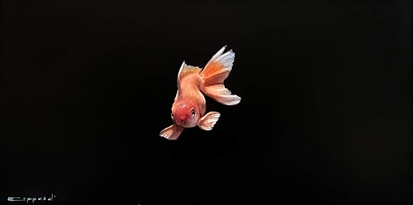 Lonely Goldfish - Oil on canvas board by Dylan Coppard, 2023, 10 x 19.5 inches, Nature