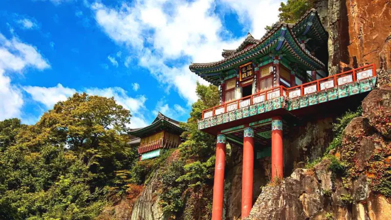 박영자 해설사와 함께하는
똑비 단독 국내여행!