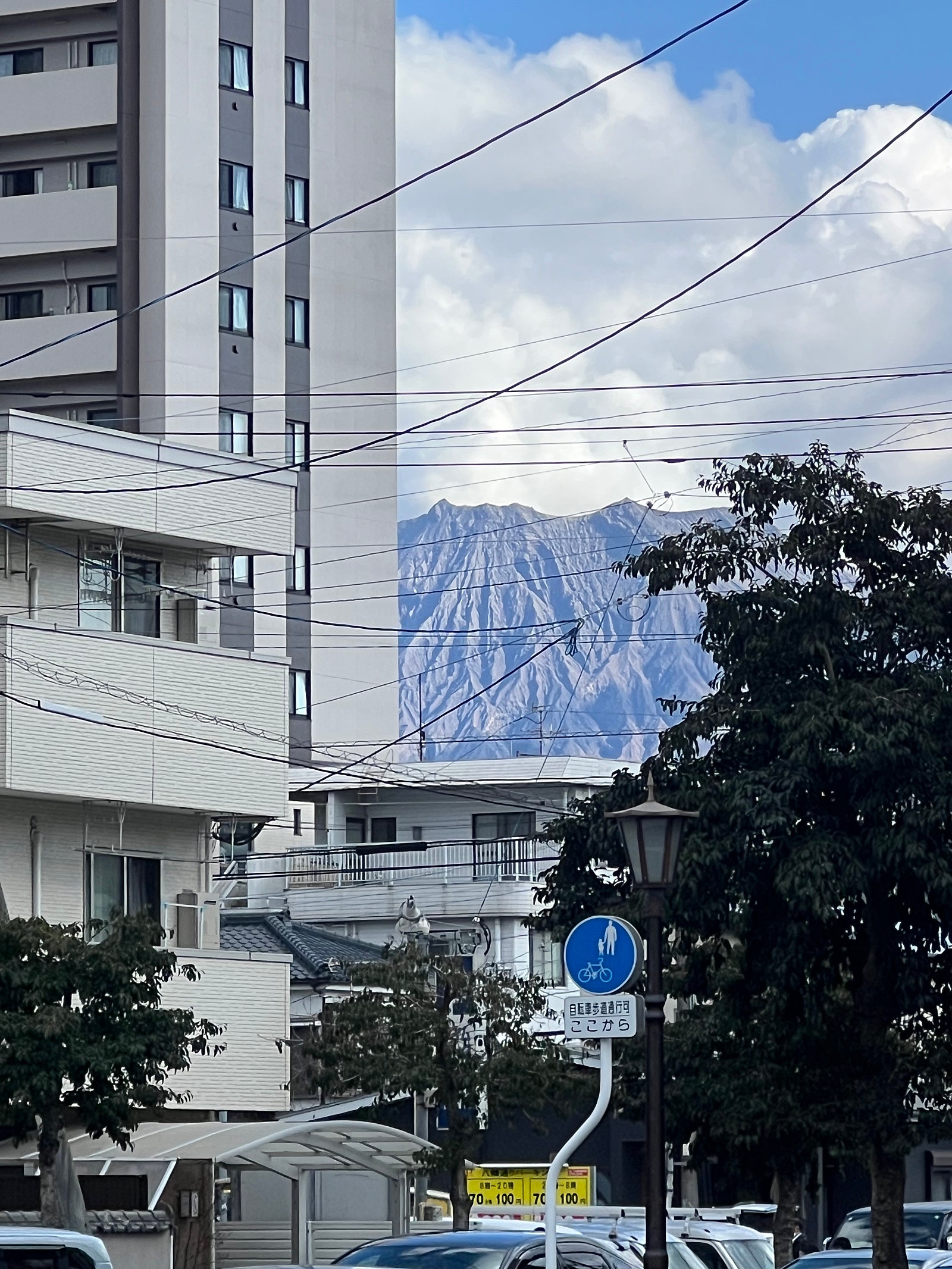 은퇴하고 가고시마에서 살기 사진