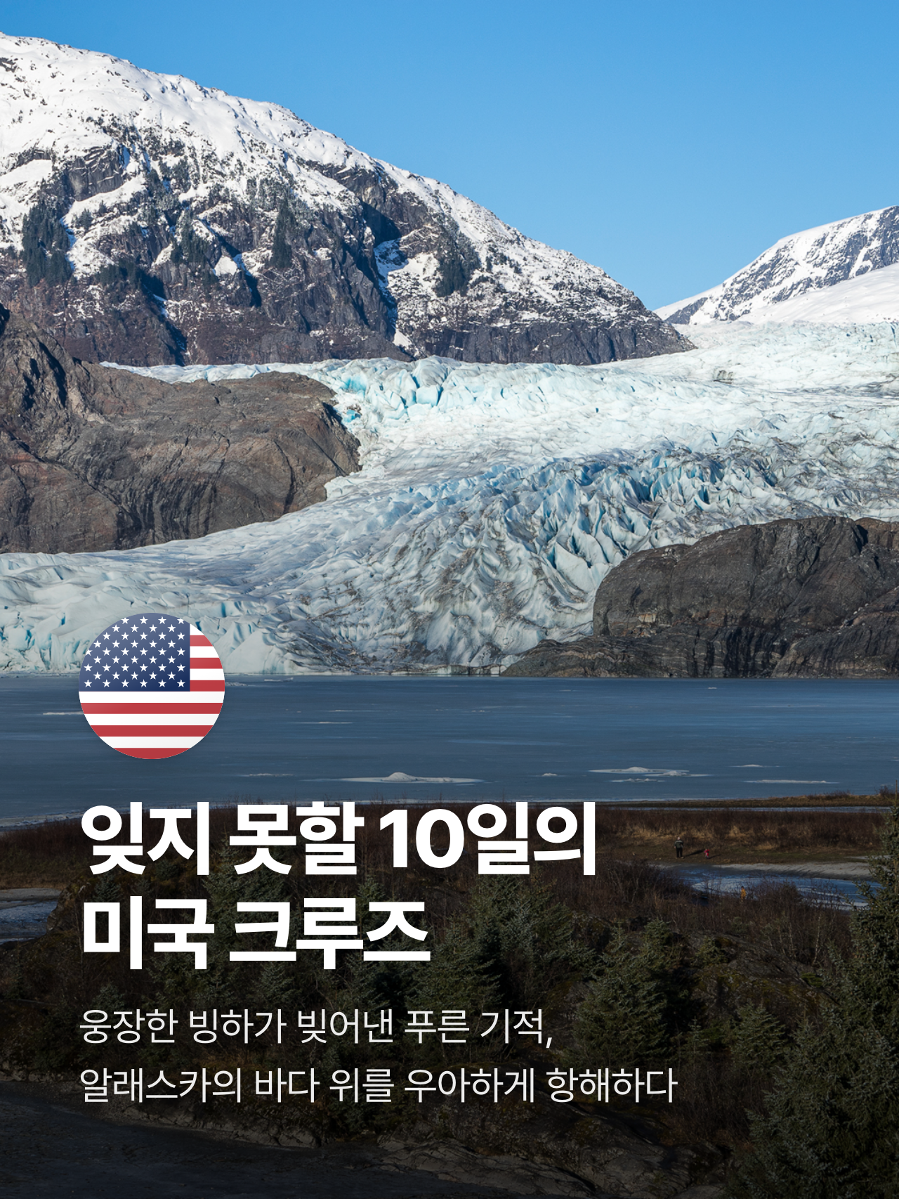 상세 정보 5