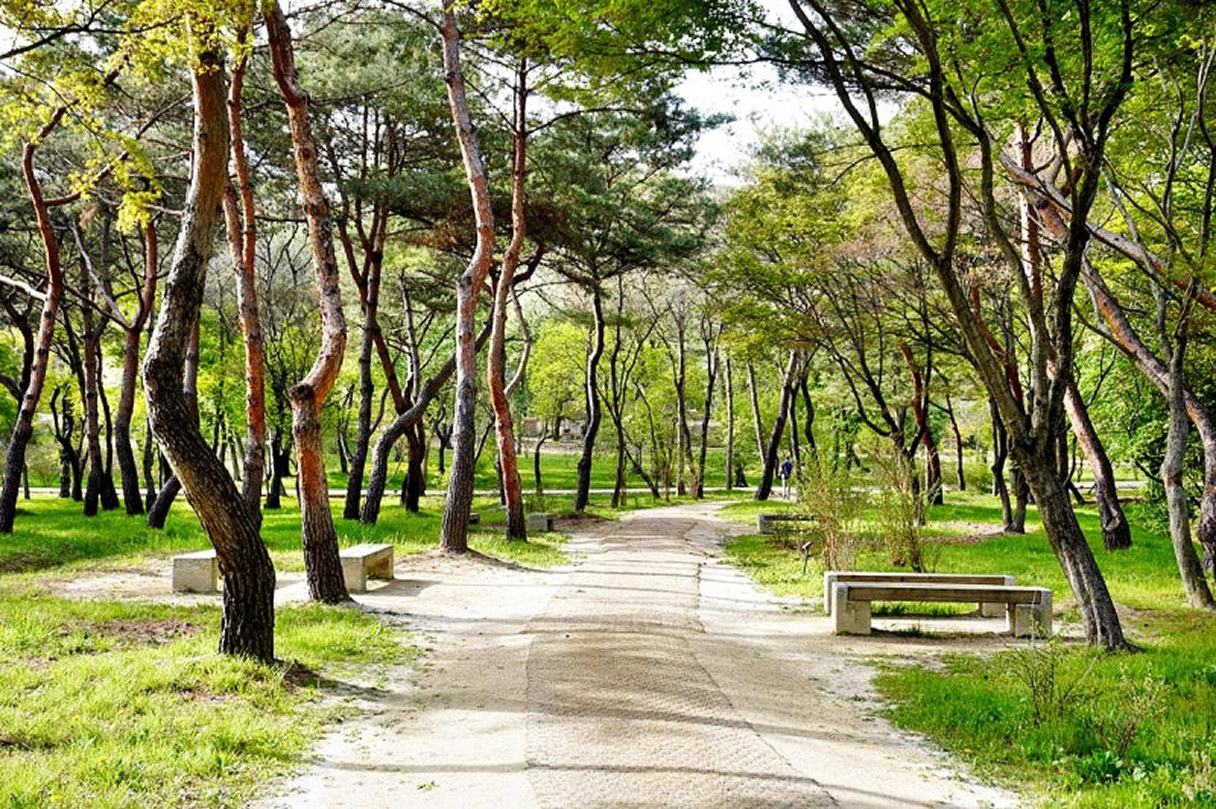 [숲나들이] 서삼릉 숲길 6월 5일