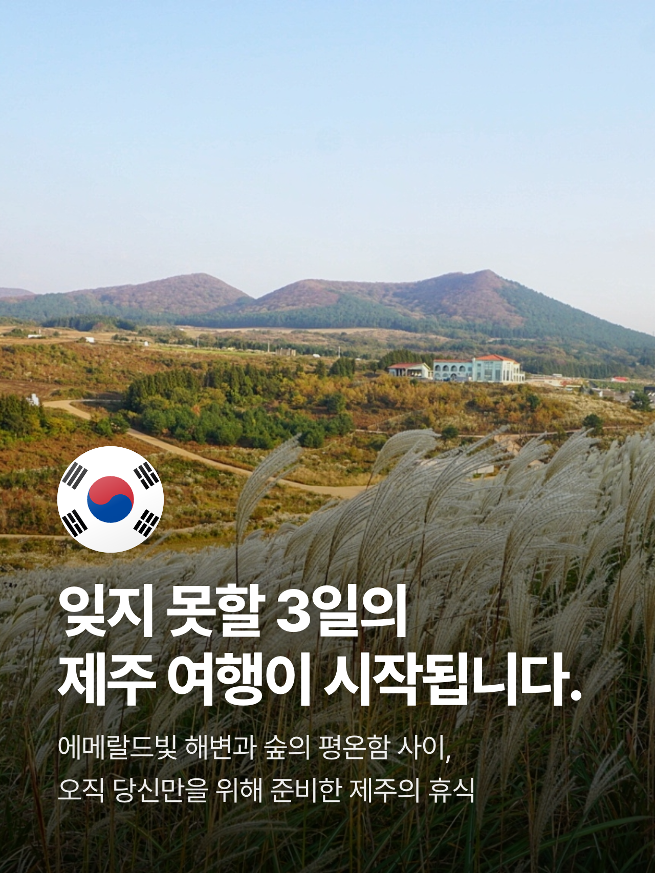 상세 정보 6
