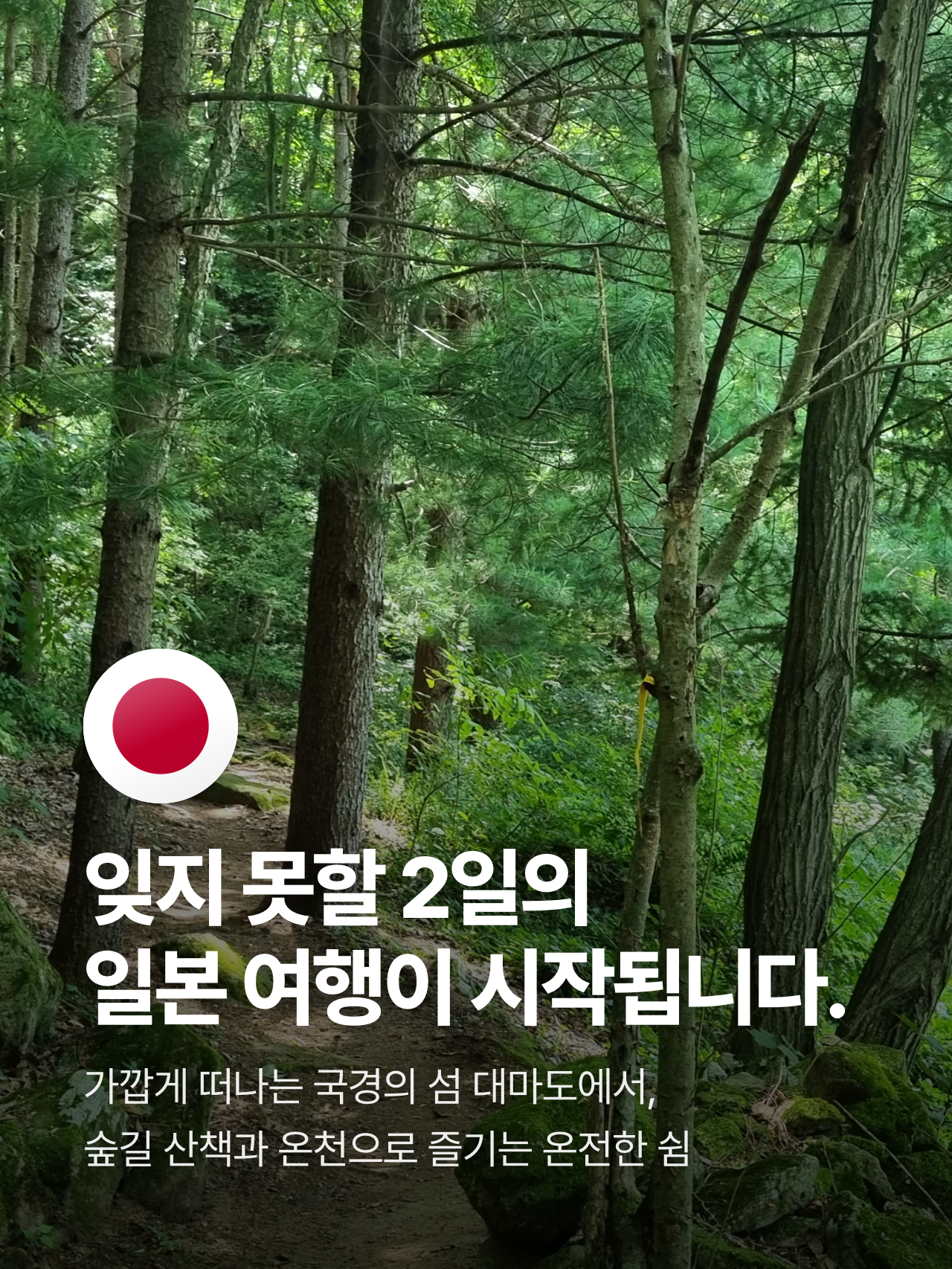 상세 정보 6