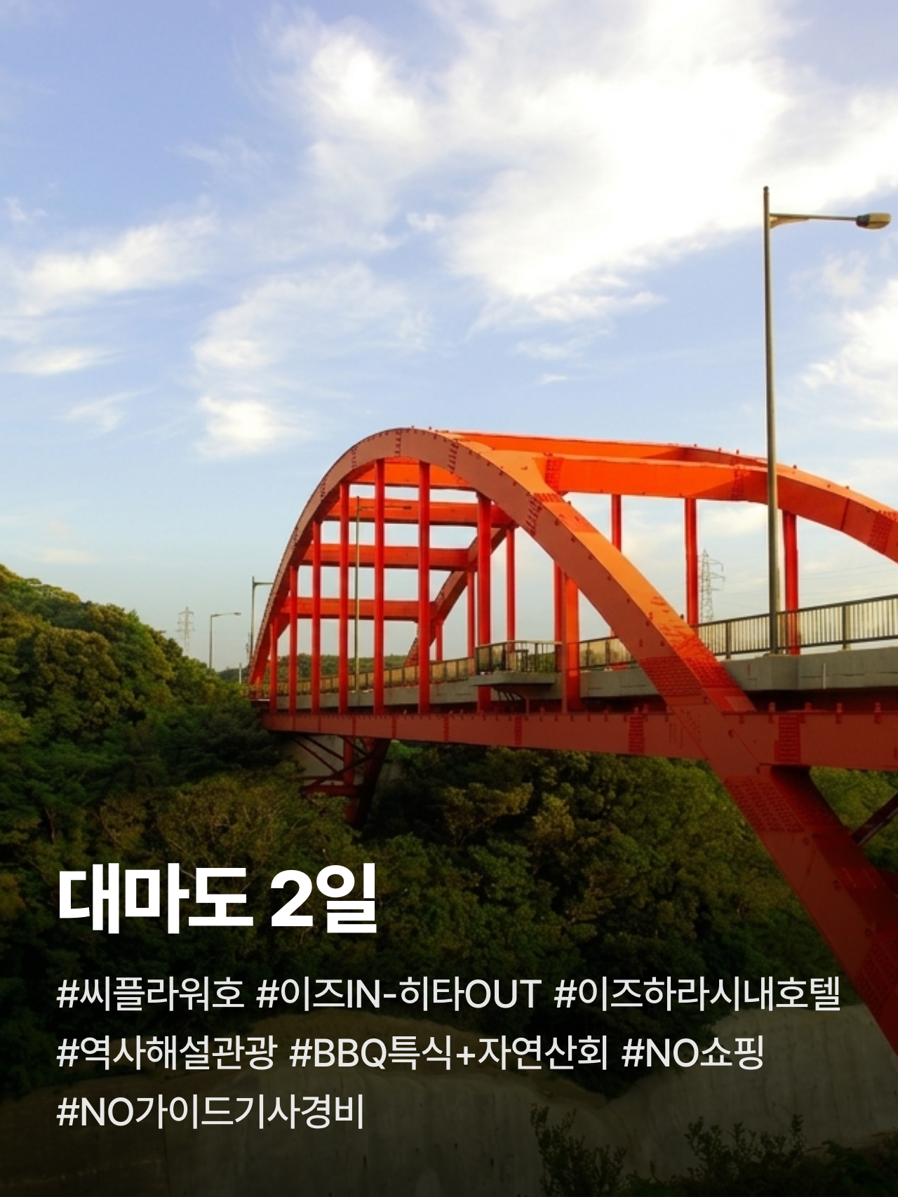상세 정보 1
