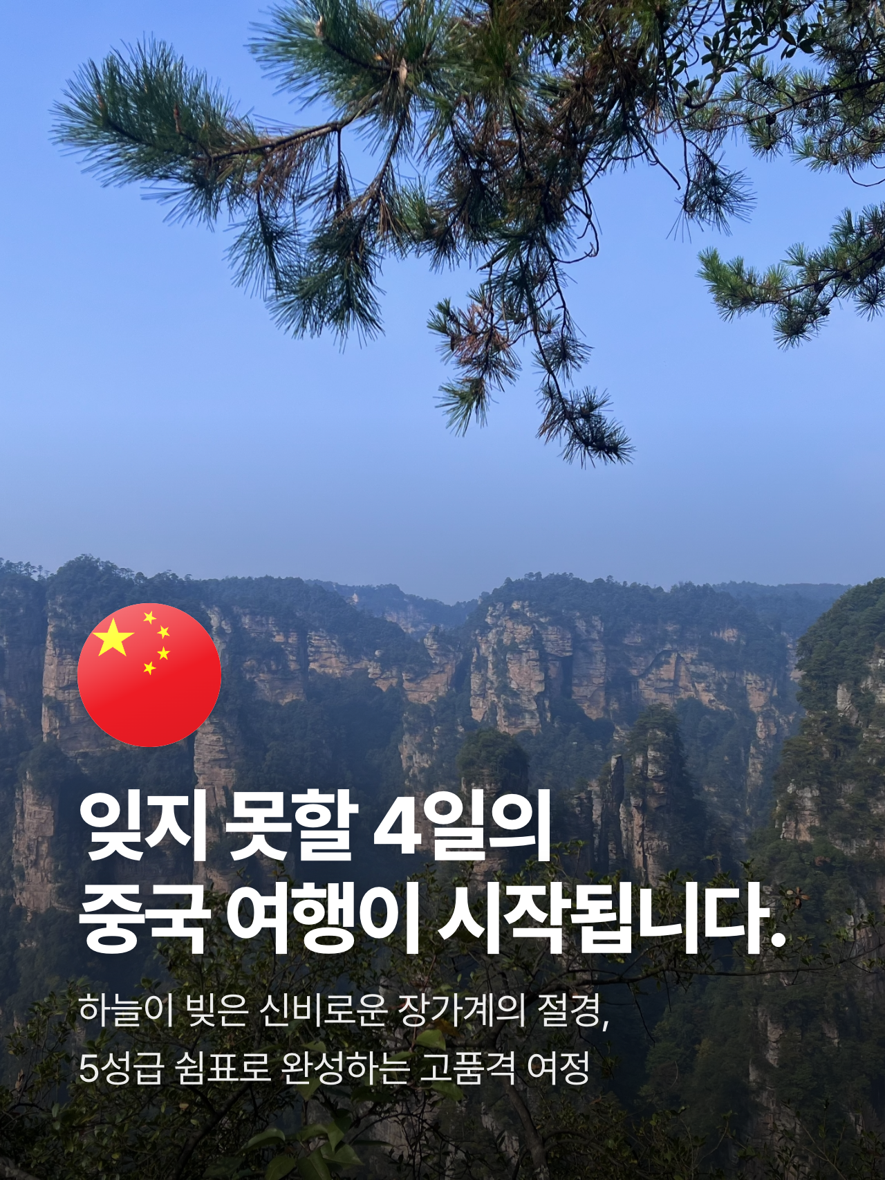 상세 정보 6