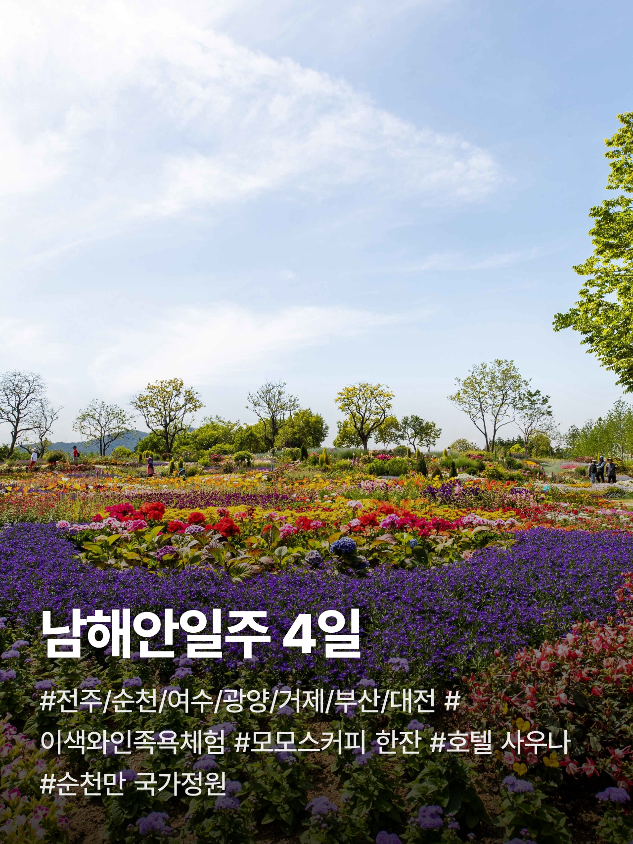 상세 정보 1
