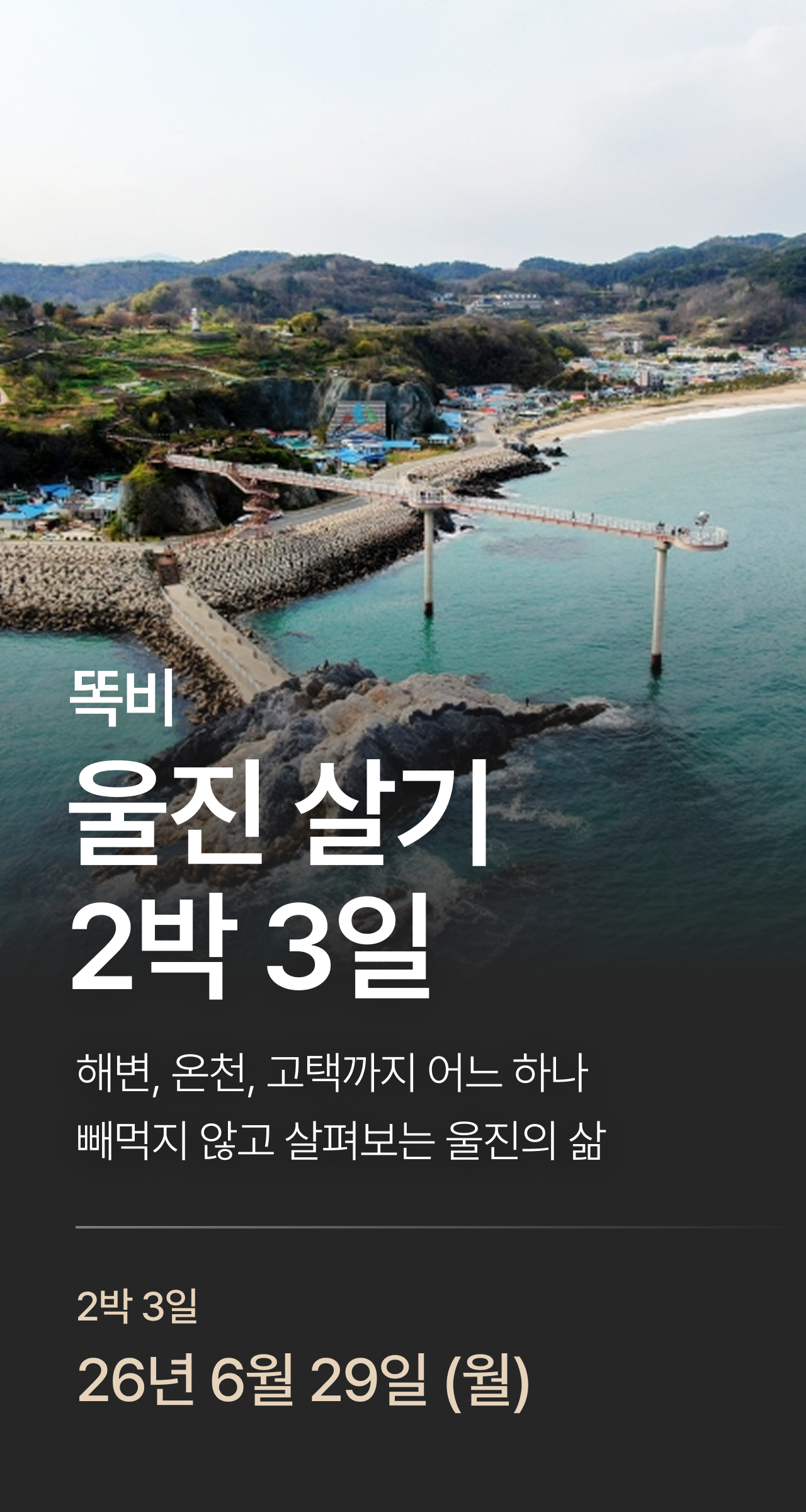 상세 정보 1