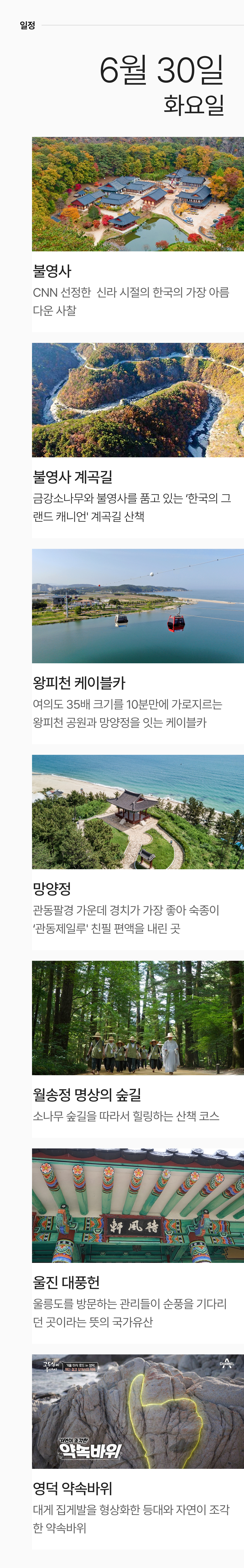 상세 정보 7