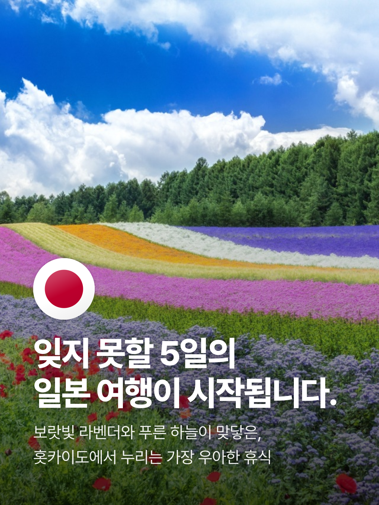 상세 정보 6