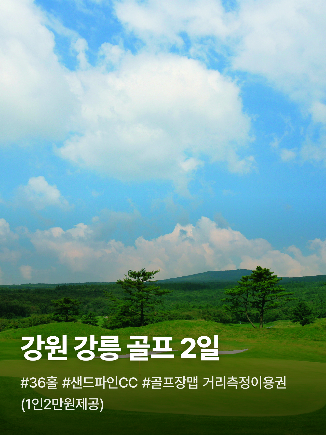상세 정보 1