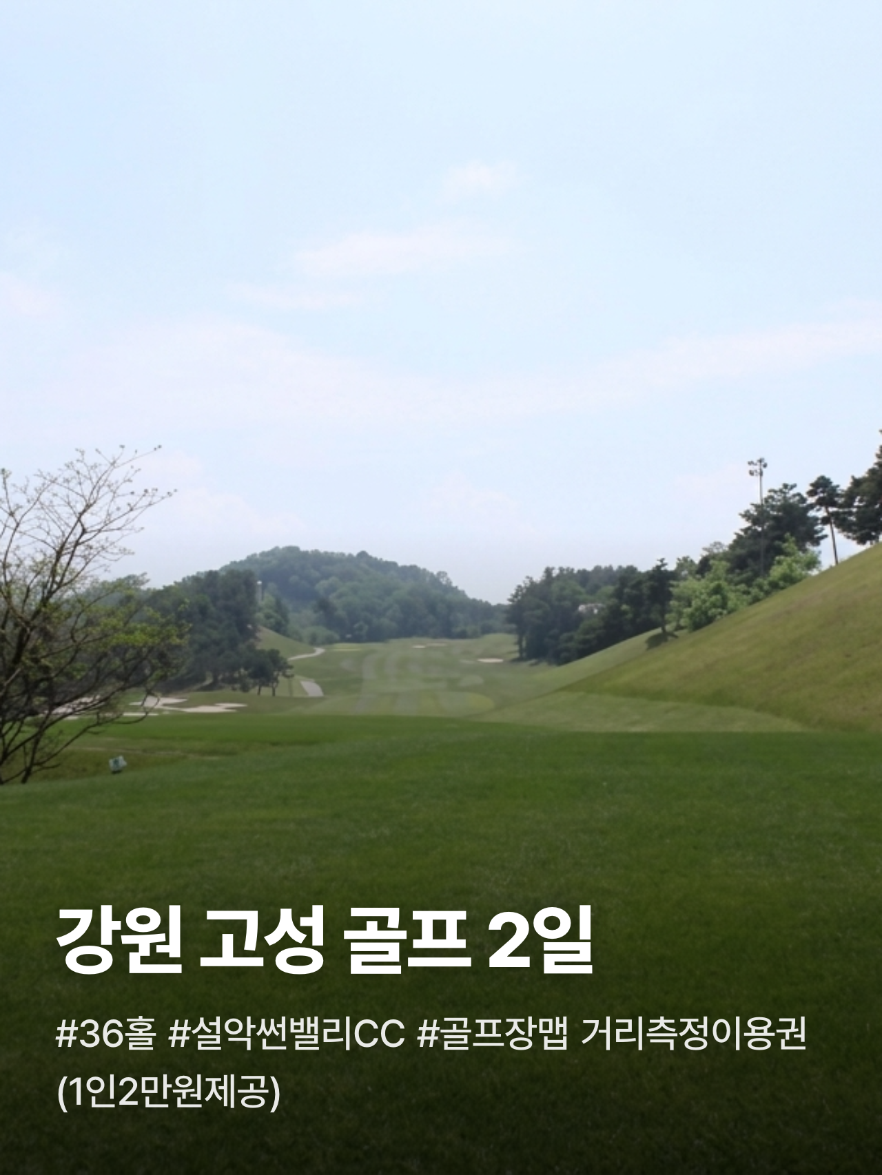 상세 정보 1