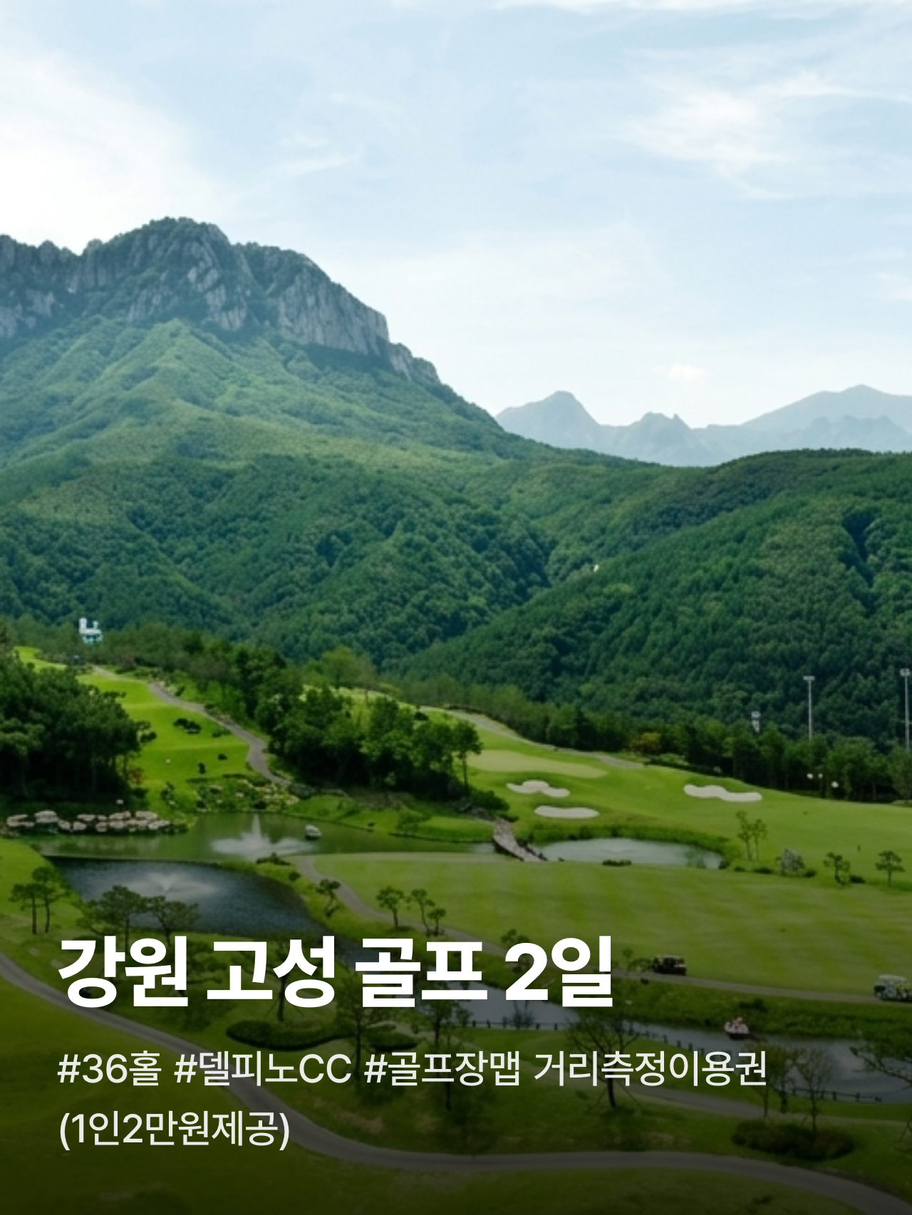 상세 정보 1