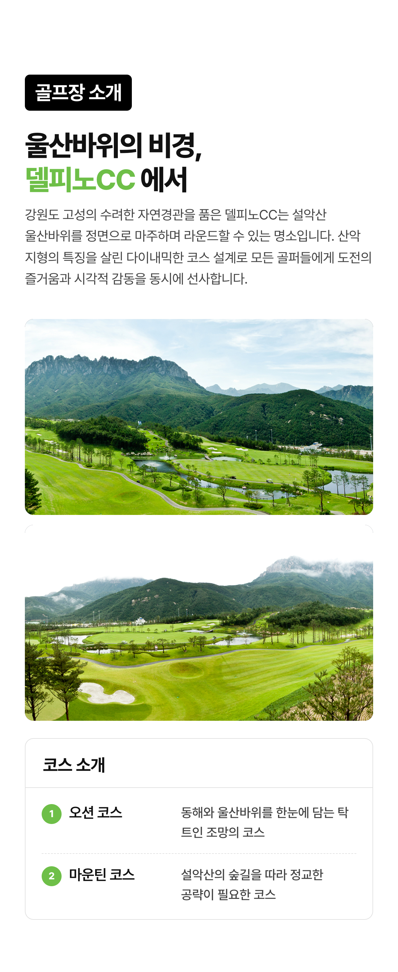 상세 정보 7